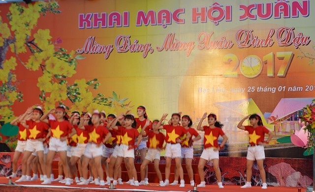 Les activités du Nouvel an lunaire battent leur plein au Vietnam - ảnh 1